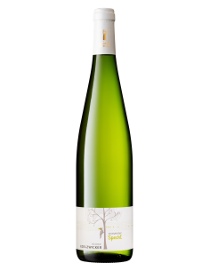 Edelzwicker d'Alsace