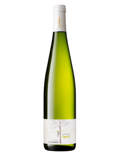 Sylvaner d'Alsace