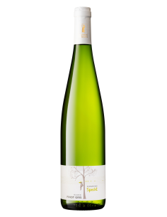 Pinot Gris