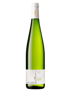 Gewurztraminer